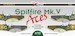 Spitfire MKV Aces (30 schemes)