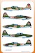 IL2/IL2M3 Stormovik "Bark"