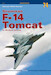 Grumman F-14 Tomcat in US Navy Service