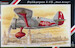 Polikarpov I-15 Chato "Red Army"