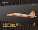 Northrop F5E Tiger II (Early version)