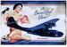 PBY Catalina A Beautiful View! Pin up metal poster