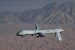 Drone MQ-1A/B Predator