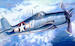 Grumman F6F-3 Hellcat "USS Essex"