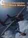 Combat chronicles of the Black Widow