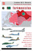 Post-Soviet Air Forces: Turkmenistan