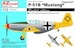 P51B Mustang 'Captured"