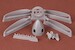 Supermarine Spitfire/Seafire Rotol Propeller -4 Bladed