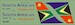 Airbus A319 (SAA New Colours)