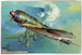 Nakajima Ki43-II Hayabusa (Oscar)