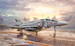Mc Donnell Douglas F4J Phantom II