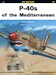 P40's over the Mediterranean