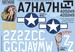 P47D Thunderbolt (395th FS "Fran", 510FS "Tipsy")