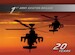 1st Army Aviation Brigade - 20 years!