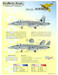 Stinging Hornets Part 3 (VMFA251,VFA82)
