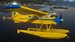 DHC-2 Beaver (Download Version)