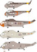Canadian Helicopters (S55,SH3)