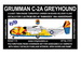 Grumman C-2A Greyhound - 2000 (VRC-40 Rawhides 50th Anniversary)