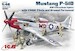 Mustang P51D-15 with USAAF Pilots and ground crew (5 figures)
