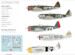 Republic P47D Thunderbolt Bubbletop (1 kit included)