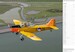 Dutch Classic Wings Calendar 2022  FLYING FOCUS image 6