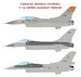 F16 Vipers Against Terror