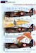 P36/H75A-1 Part 2 "French Pilots on Hawks"