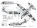 Israeli Lockheed C-130 Hercules (IDFAF)