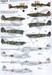 RAF No 1 Squadron 100 Years