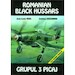 Romanian Black Hussars