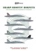 Sharp Shooting Hornets, the F/A18's of VMFAT101 "Sharpshooters"