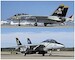 Grumman F14A/B Tomcat "Jolly Rogers"(2 kits included)