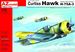 Curtiss Hawk 75A-3 Sussu over Finland