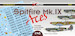 Spitfire Mk.IX Aces High-Altitude Fighter (23 camo schemes)