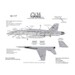 F18 Hornets Nest (VFA192 Golden Dragons CAG)