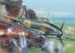 Ilyushin IL10 'Beast" Russian Service