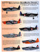Fighting Moranes Part 2 (Luftwaffe, FAF, Croat AF)