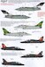 RAF Anniversary Update 2011/12
