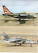 Alpha Jet 10 year anniversary and lo-viz (R. Thai AF)