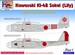 Kawasaki Ki48 'Lily' Japan Home Island Defence, Pt.1