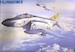 F4J Phantom II VF21/VF31/VMFA212
