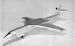 Boeing XB-59 Alternation of the Convair B-58 Hustler (Includes as bonus, X15, XF92, T28 Trojan)?)