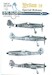 Focke Wulf FW190D-13 (Yellow 10)