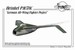 Heinkel P1078BC