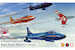 Hawker Hunter F MK6/FGA9 Aerobatic Teams