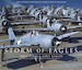 Storm of Eagles, the greatest Aviation Photographs of World war II