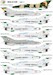 Mikoyan MiG21UM Mogol decals