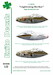 Lockheed P38F/G "Lightning Strikes"