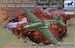 Curtiss P40C Warhawk Fighter (USAAF)