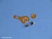 Optional extra holder for Rivet-R rivet tool
